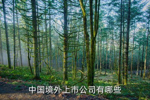 上海眾美聯(lián)集團(tuán),美聯(lián)集團(tuán)簡(jiǎn)介董事長(zhǎng)