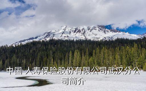 中國 人壽保險(xiǎn)股份有限公司武漢分公司簡(jiǎn)介