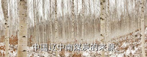 沈陽(yáng)煉焦煤氣有限公司