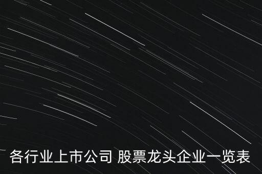 各行業(yè)上市公司 股票龍頭企業(yè)一覽表