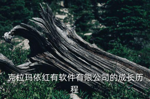  克拉瑪依紅有軟件有限公司的成長(zhǎng)歷程