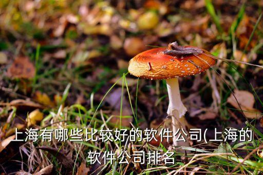 上海有哪些比較好的軟件公司(上海的軟件公司排名