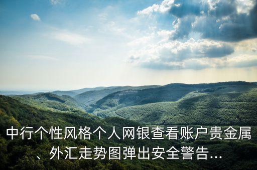 中行個性風(fēng)格個人網(wǎng)銀查看賬戶貴金屬、外匯走勢圖彈出安全警告...