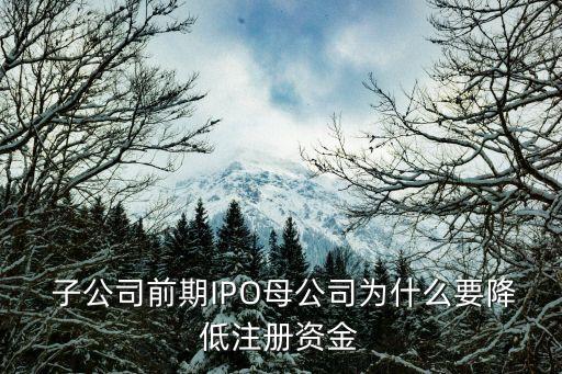  子公司前期IPO母公司為什么要降低注冊資金