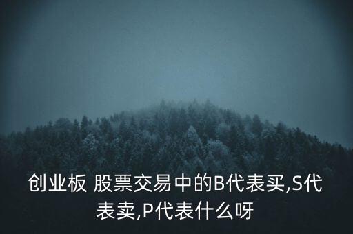 創(chuàng)業(yè)板 股票交易中的B代表買,S代表賣,P代表什么呀