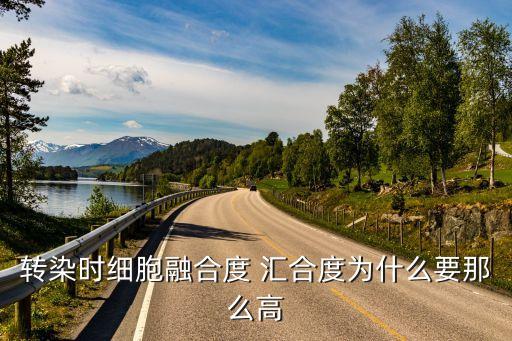 轉(zhuǎn)染時細胞融合度 匯合度為什么要那么高