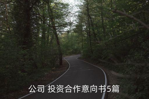 公司 投資合作意向書5篇