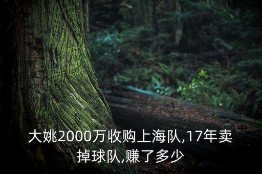 大姚2000萬收購上海隊(duì),17年賣掉球隊(duì),賺了多少