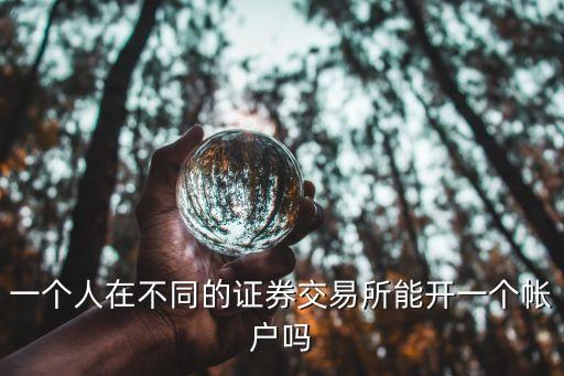 一個人在不同的證券交易所能開一個帳戶嗎