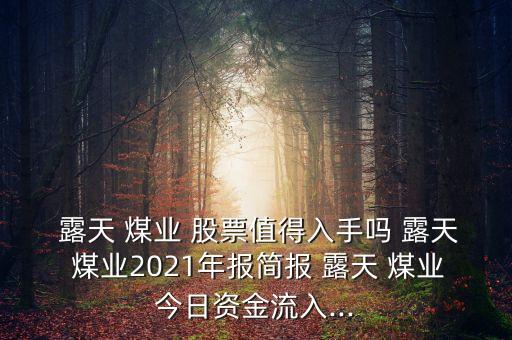  露天 煤業(yè) 股票值得入手嗎 露天 煤業(yè)2021年報(bào)簡(jiǎn)報(bào) 露天 煤業(yè)今日資金流入...