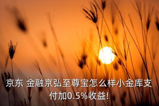 京東 金融京弘至尊寶怎么樣小金庫支付加0.5%收益!