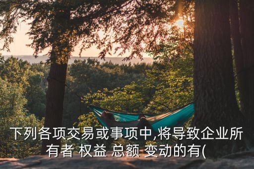 下列各項交易或事項中,將導致企業(yè)所有者 權(quán)益 總額 變動的有(