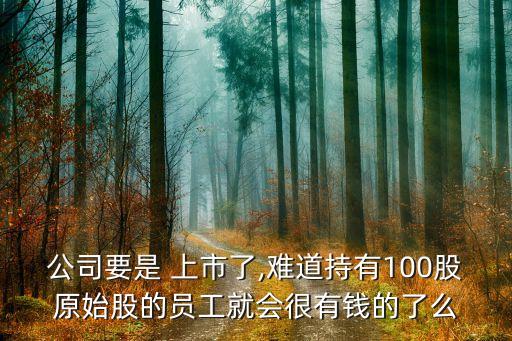 公司要是 上市了,難道持有100股原始股的員工就會(huì)很有錢的了么