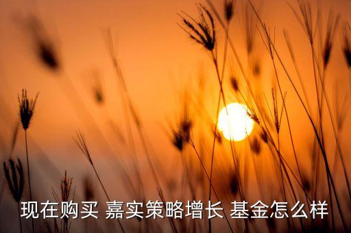 現(xiàn)在購(gòu)買 嘉實(shí)策略增長(zhǎng) 基金怎么樣