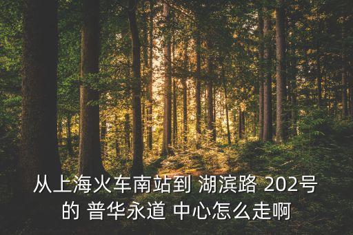 從上?；疖嚹险镜?湖濱路 202號的 普華永道 中心怎么走啊