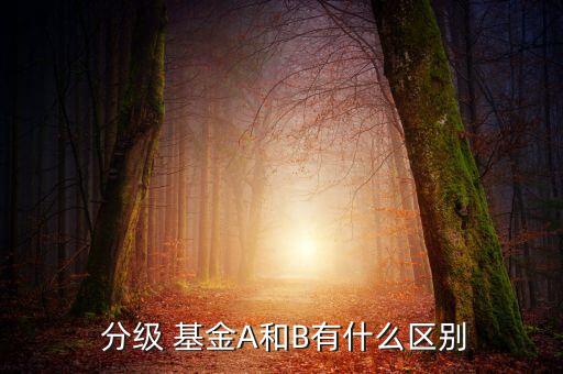  分級 基金A和B有什么區(qū)別