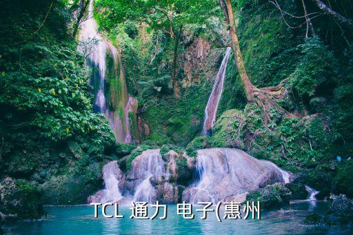 TCL 通力 電子(惠州