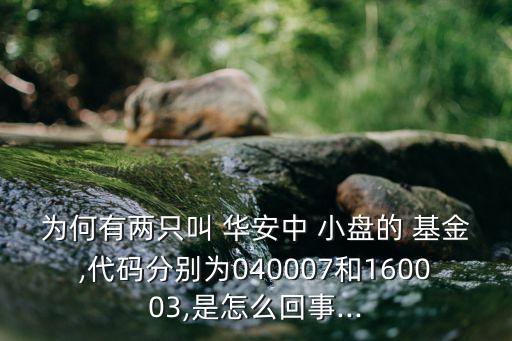 為何有兩只叫 華安中 小盤的 基金,代碼分別為040007和160003,是怎么回事...