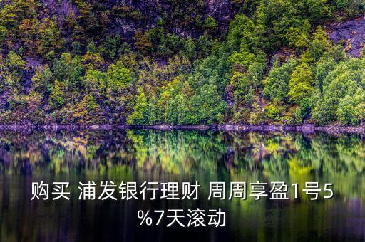 購(gòu)買(mǎi) 浦發(fā)銀行理財(cái) 周周享盈1號(hào)5%7天滾動(dòng)