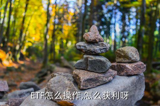 ETF怎么操作,怎么獲利呀