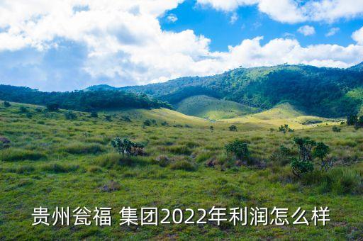 貴州甕福 集團2022年利潤怎么樣