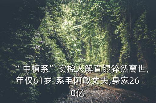 “ 中植系”實(shí)控人解直錕猝然離世,年僅61歲!系毛阿敏丈夫,身家260億