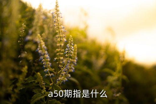 a50期指是什么