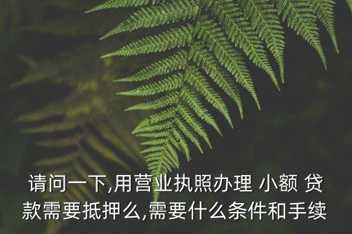 請(qǐng)問(wèn)一下,用營(yíng)業(yè)執(zhí)照辦理 小額 貸款需要抵押么,需要什么條件和手續(xù)