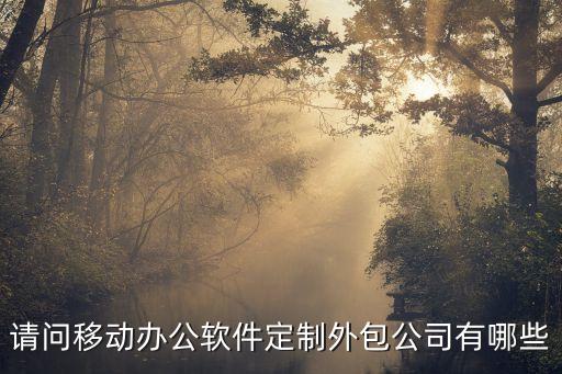 請(qǐng)問(wèn)移動(dòng)辦公軟件定制外包公司有哪些