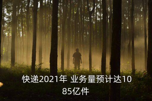  快遞2021年 業(yè)務(wù)量預(yù)計達(dá)1085億件