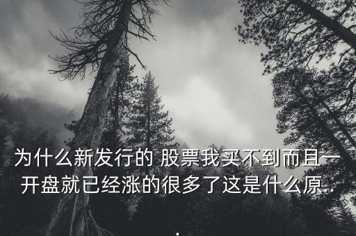 為什么新發(fā)行的 股票我買不到而且一開盤就已經漲的很多了這是什么原...