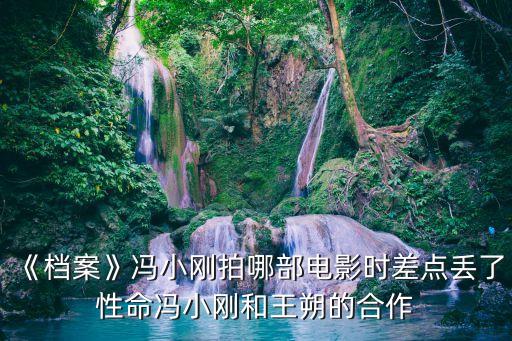 《檔案》馮小剛拍哪部電影時(shí)差點(diǎn)丟了性命馮小剛和王朔的合作