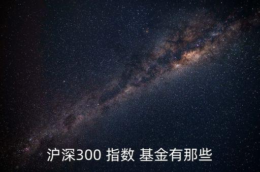 滬深300 指數(shù) 基金有那些