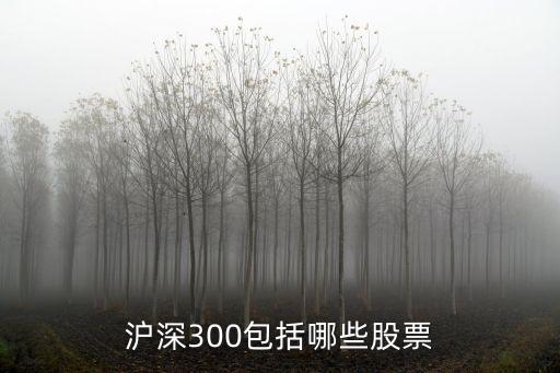 滬深300包括哪些股票