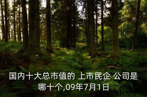 國(guó)內(nèi)十大總市值的 上市民企 公司是哪十個(gè),09年7月1日