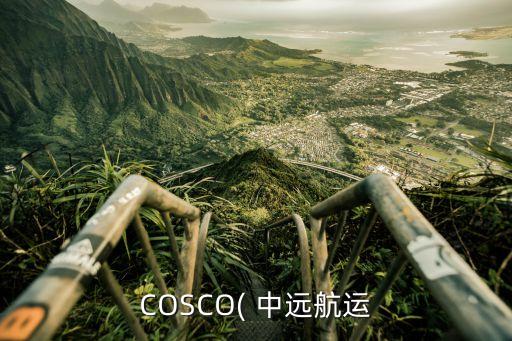 COSCO( 中遠航運