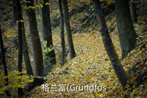  格蘭富(Grundfos