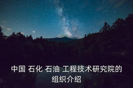 中國 石化 石油 工程技術(shù)研究院的組織介紹