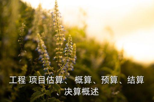 工程 項(xiàng)目估算、 概算、預(yù)算、結(jié)算、決算概述