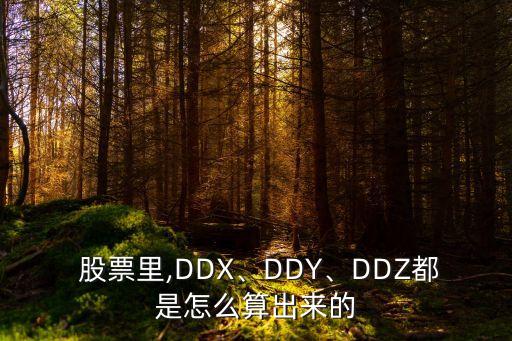  股票里,DDX、DDY、DDZ都是怎么算出來的