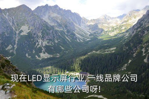 現(xiàn)在LED顯示屏行業(yè),一線品牌公司有哪些公司呀!