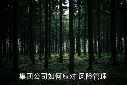 集團公司如何應(yīng)對 風(fēng)險管理