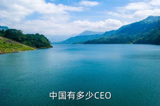 中國有多少CEO