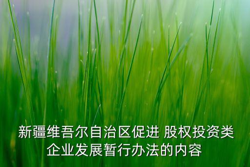 新疆成農(nóng)遠(yuǎn)大股權(quán)投資有限公司