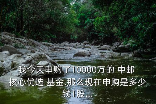 我今天申購了10000萬的 中郵 核心優(yōu)選 基金.那么現(xiàn)在申購是多少錢1股...