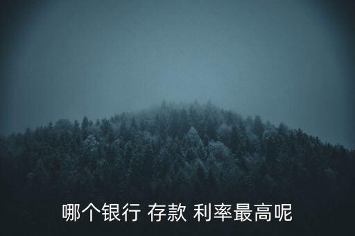 哪個(gè)銀行 存款 利率最高呢