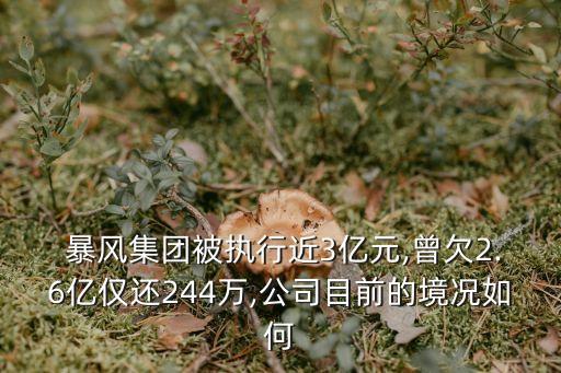  暴風(fēng)集團被執(zhí)行近3億元,曾欠2.6億僅還244萬,公司目前的境況如何