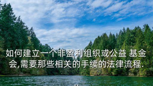 如何建立一個(gè)非盈利組織或公益 基金會(huì),需要那些相關(guān)的手續(xù)的法律流程...