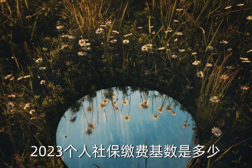 2023個人社保繳費基數(shù)是多少