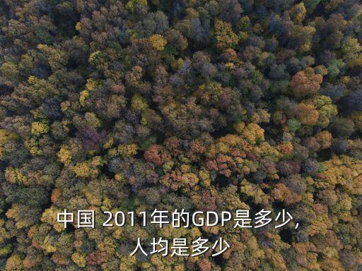 中國 2011年的GDP是多少, 人均是多少